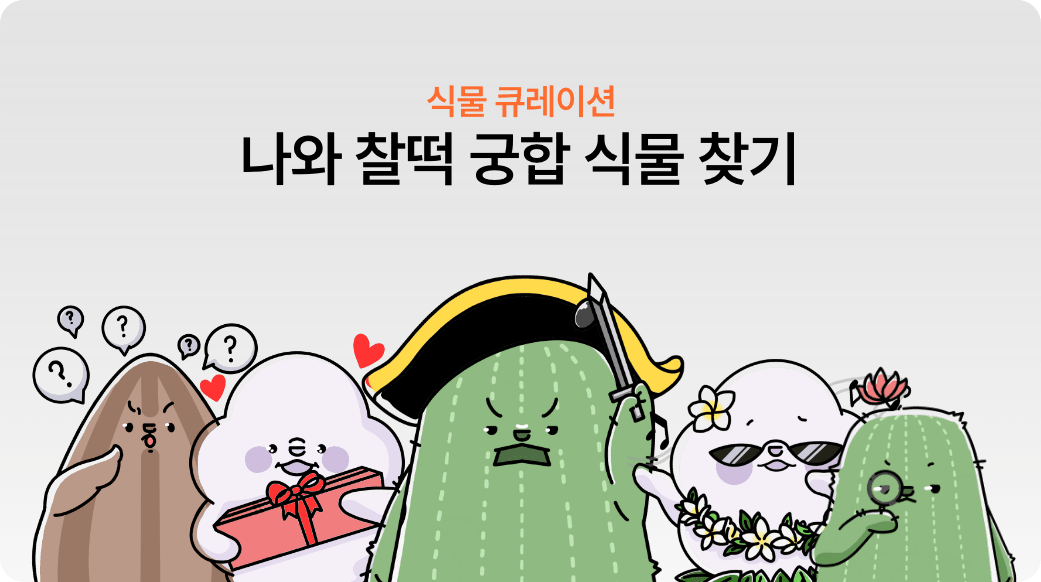 큐레이션 배너